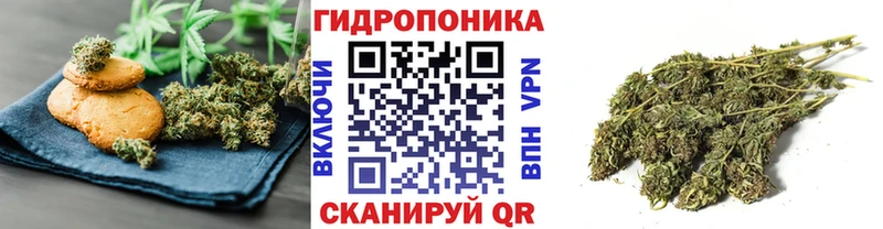 нарко площадка телеграм  Кстово  Canna-Cookies марихуана 