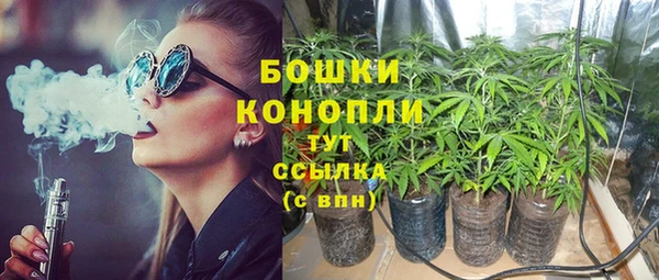 сатива Нязепетровск