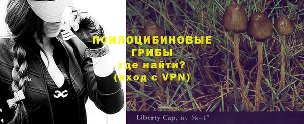 сатива Нязепетровск