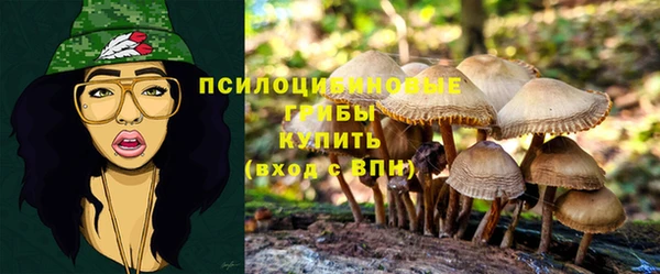 МДМА Няндома