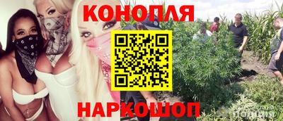 гидра Кинель