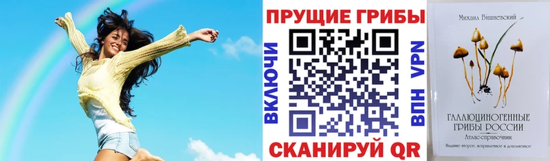 omg маркетплейс  хочу наркоту  Кстово  Псилоцибиновые грибы прущие грибы 