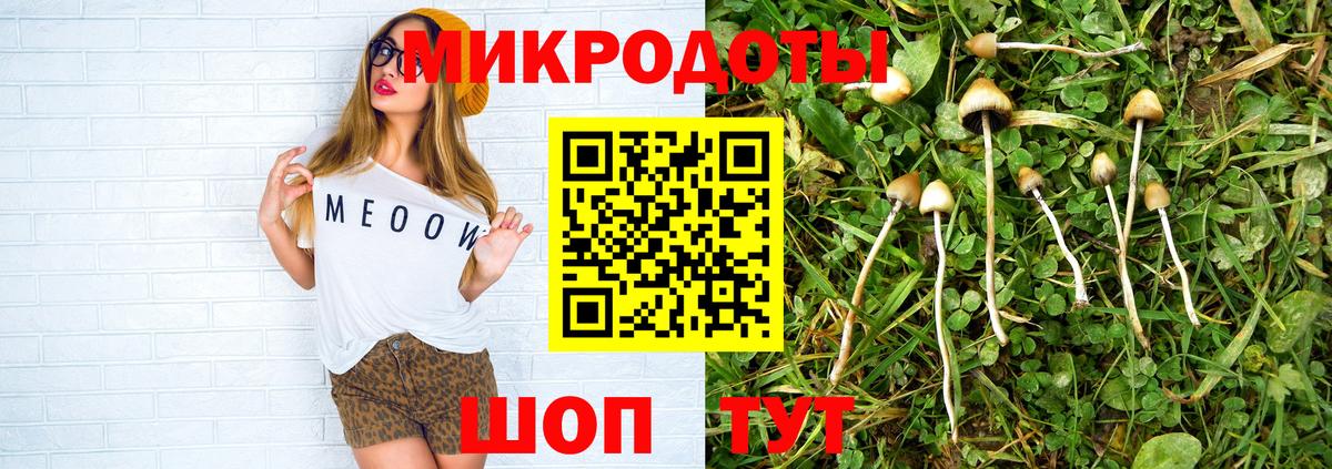 Псилоцибиновые грибы мицелий Кстово