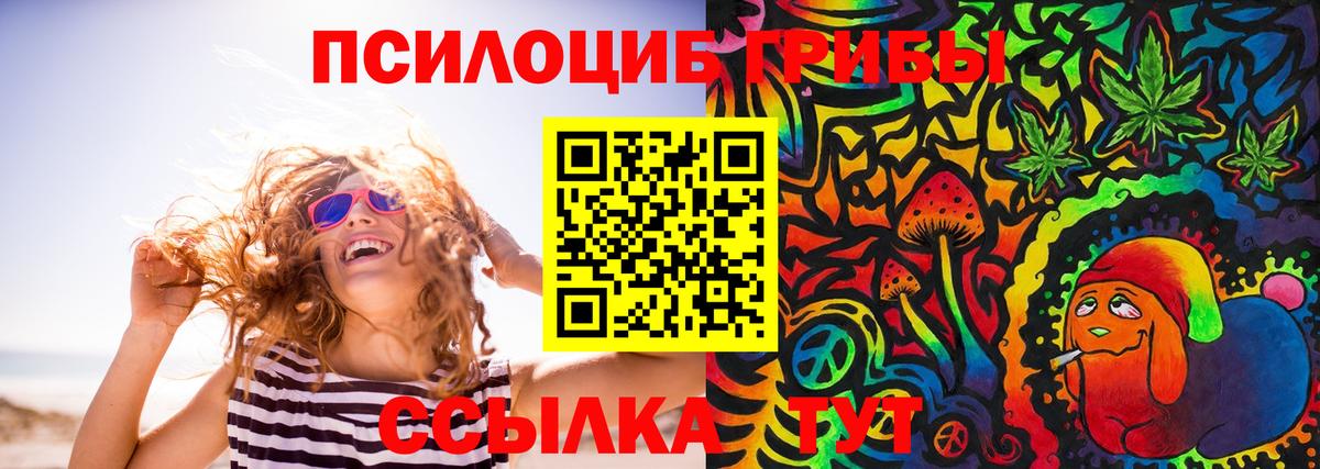 Кстово  Галлюциногенные грибы ЛСД  Вход с VPN  Псилоцибиновые грибы Psilocybe 