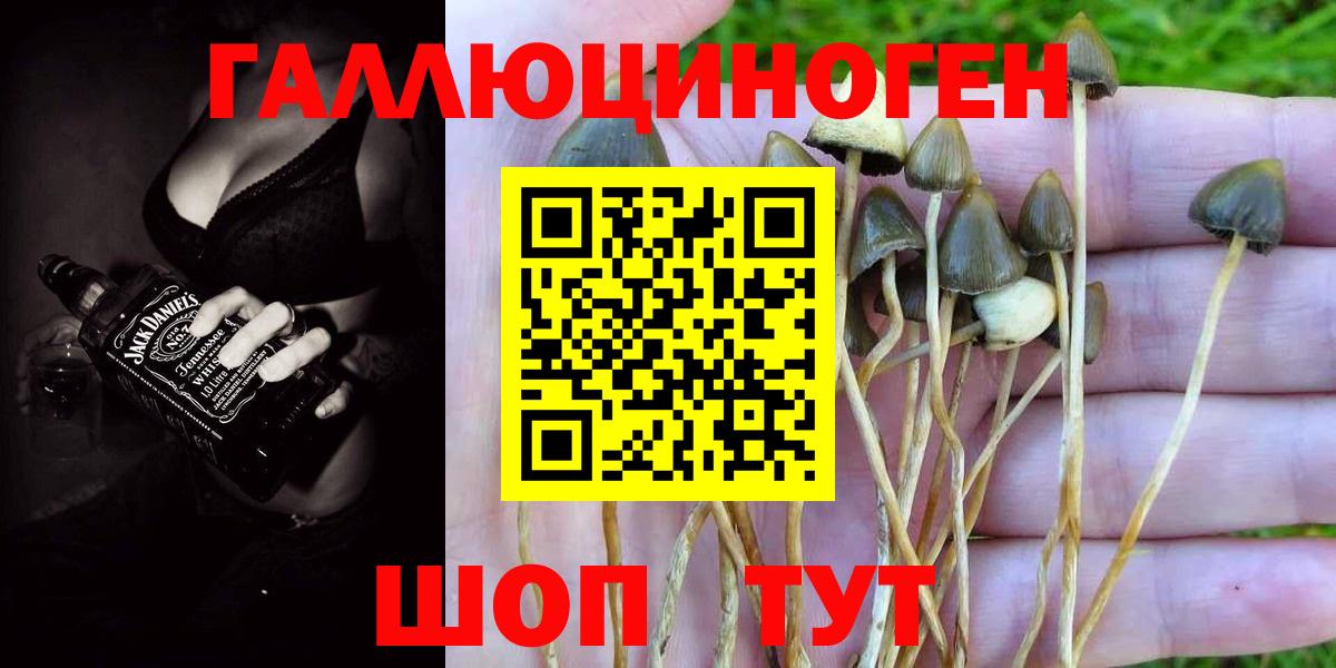 Псилоцибиновые грибы мицелий  Кстово 